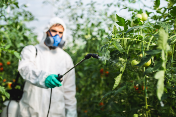 Pesticides and Fumigants