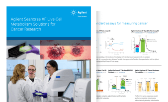 Our commitment to you