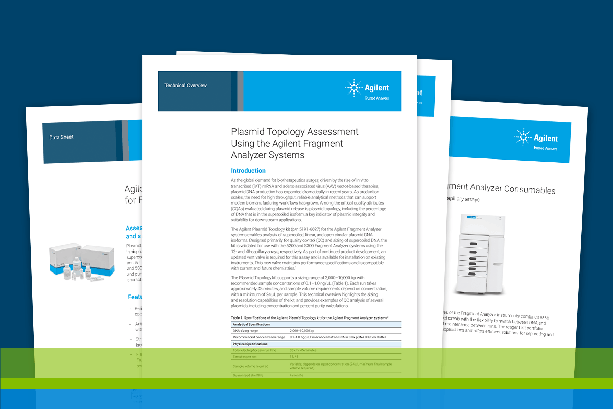 Plasmid Topology kit literature kit