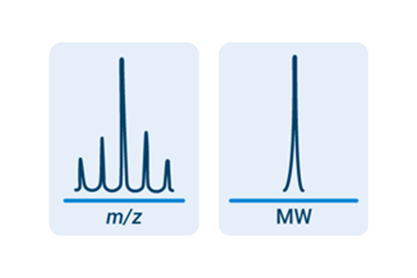 Automate molecular weight confirmation