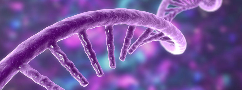 Advanced Column Selection for SEC/GPC Analysis of Biomolecules | Agilent