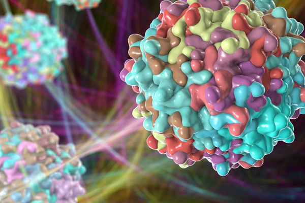 Introduction to the Analysis of Adeno-Associated Virus Particles