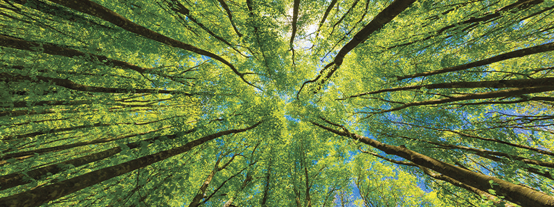 Page Title | Agilent