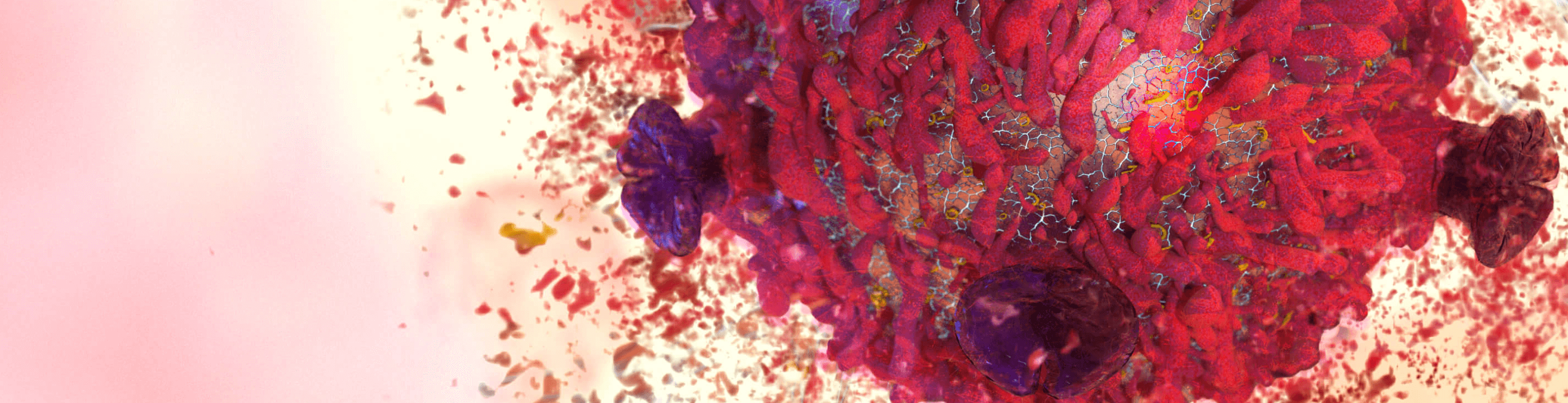 Our commitment to you