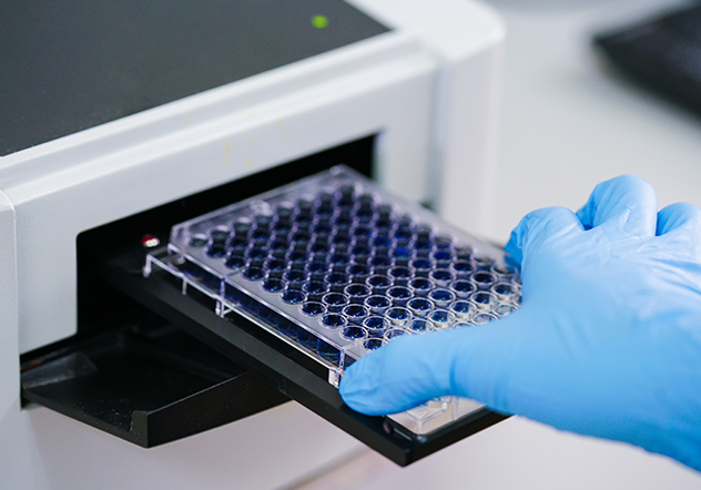 cardiac drug discovery