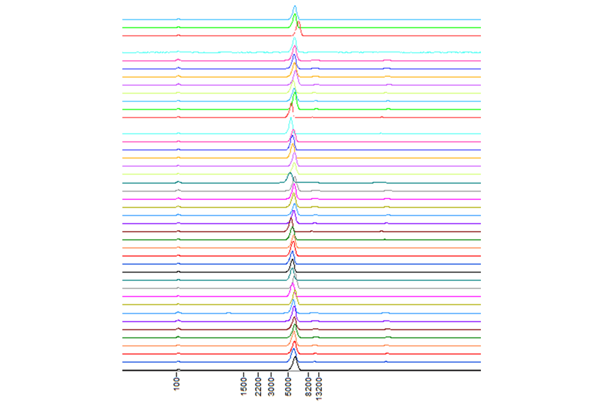 High-throughput plasmid analysis traces.