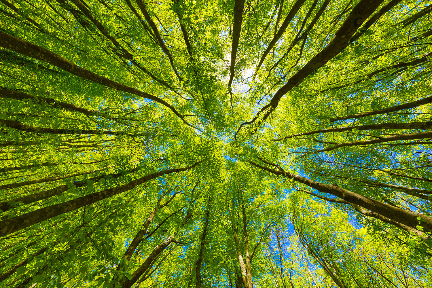 Page Title | Agilent