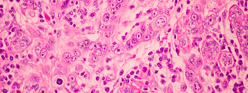 Page Title | Agilent