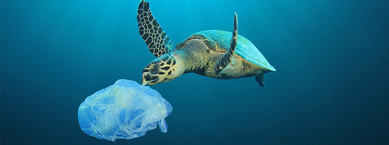 Page Title | Agilent