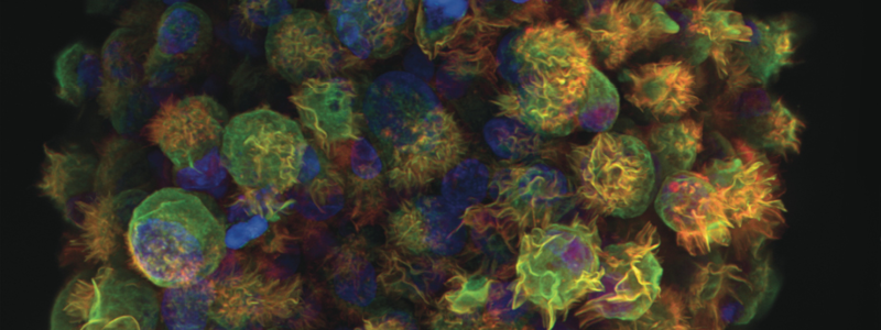 Page Title | Agilent