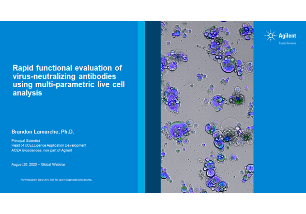 Rapid functional evaluation of virus-neutralizing antibodies using multi-parametric live cell analysis