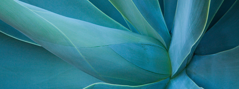 X-ACTA Tequila | Agilent