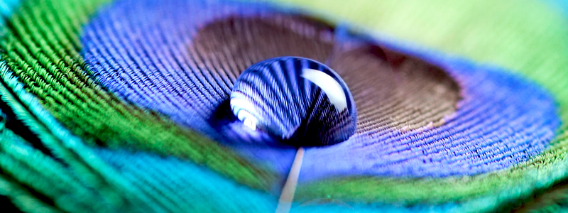 High Sensitivity Genomic DNA ScreenTape assay | Agilent