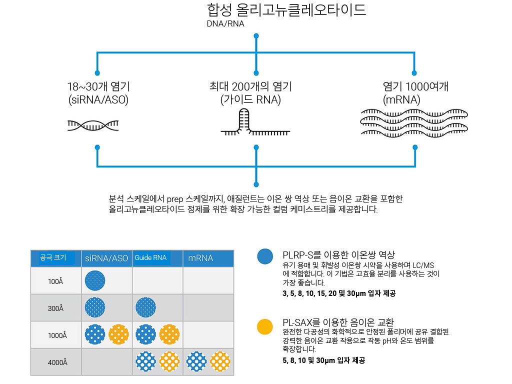 올리고뉴클레오타이드 인포그래픽
