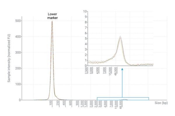 Detect genomic DNA down to 20 pg/µL, ensuring sensitivity for limited or very low-concentration samples.