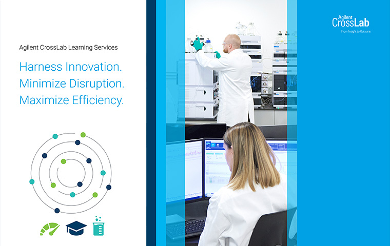 Your path to productivity starts here