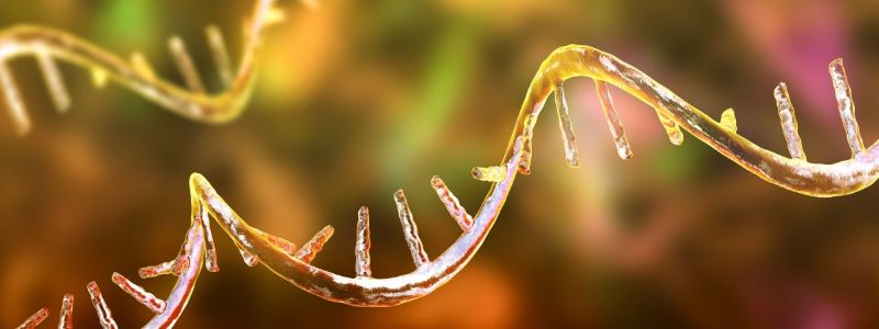 Page Title | Agilent