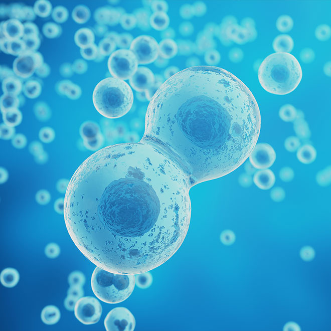 Diabetes, cardio, and acquired metabolic disorders