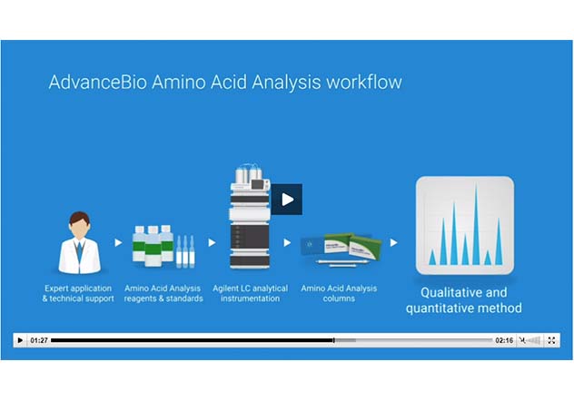 Amino acid video