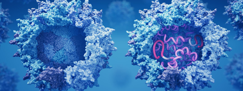 Page Title | Agilent