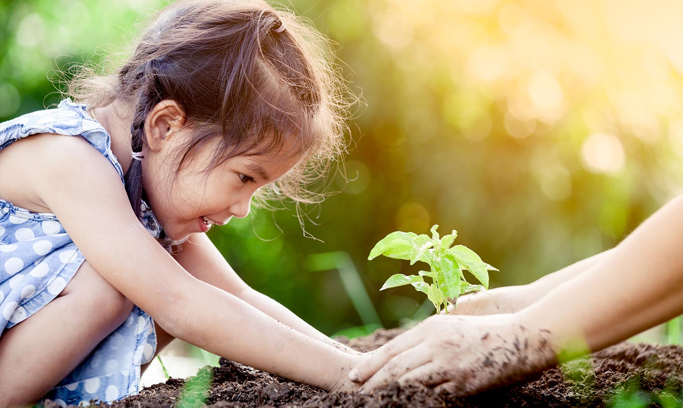 Child with plant in fresh soil