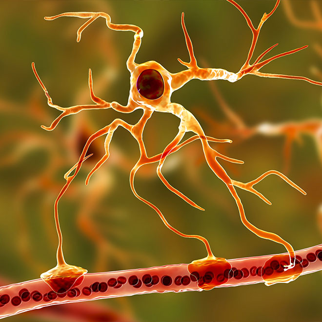 Neurodegenerative diseases