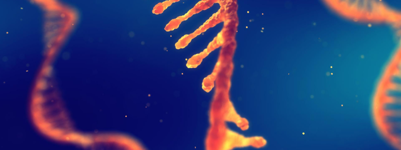 III Simpósio Clínico Agilent | Agilent