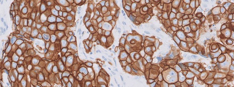 Page Title | Agilent