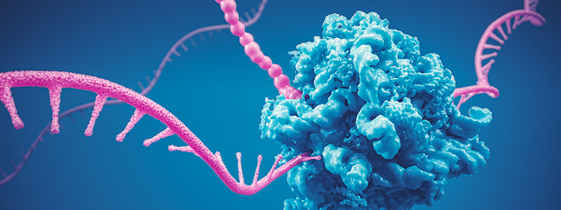 eBooks to Advance Your Biomolecule Analysis | Agilent