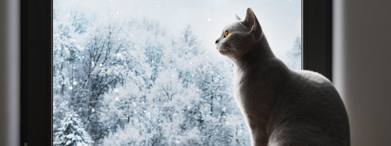 Page Title | Agilent