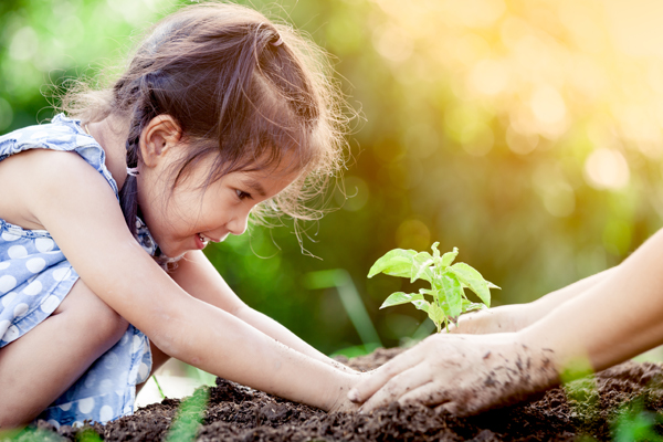 little girl planting a tree