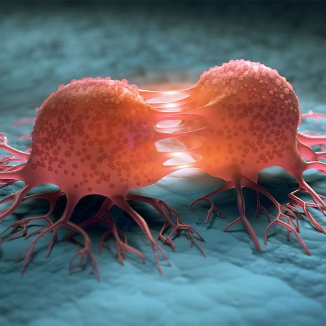 Cancer research