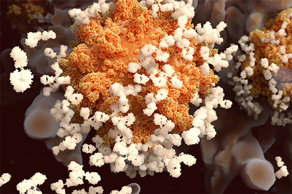 Request Information | Agilent