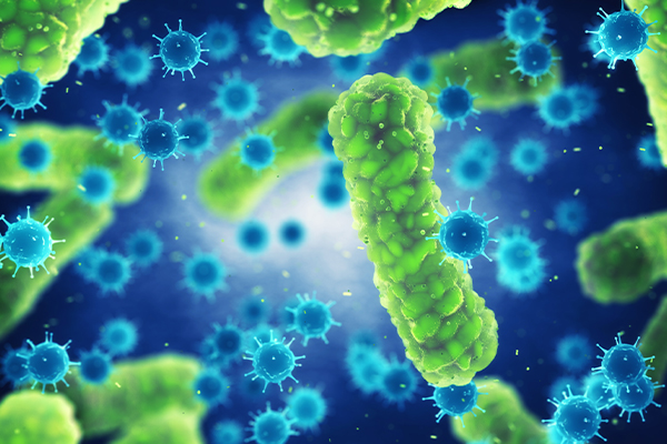 Infectious Disease Collection
