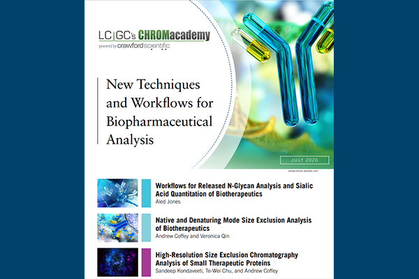 new techniques and workflows eBook