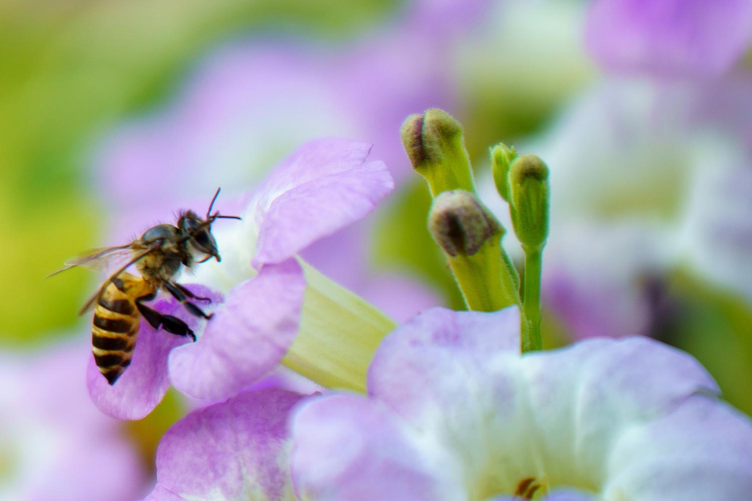 Agilent 8850 气相色谱仪：安捷伦气相色谱仪进化论：可靠依旧，精巧新生 | Agilent