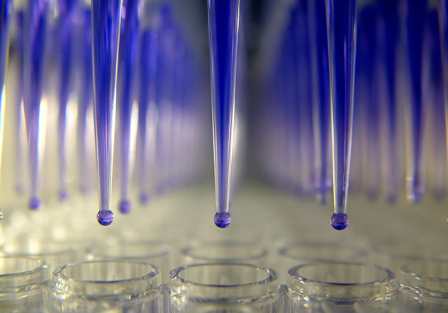 comprehensive in vitro proarrythmia assay