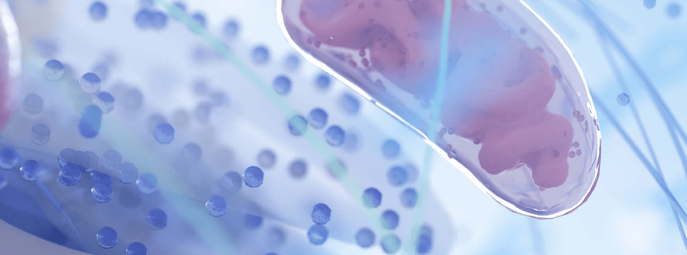 Uncover cancer metabolism