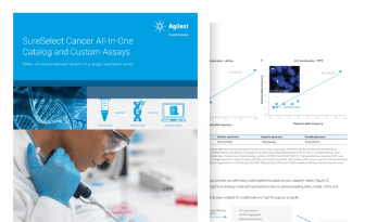 Our commitment to you