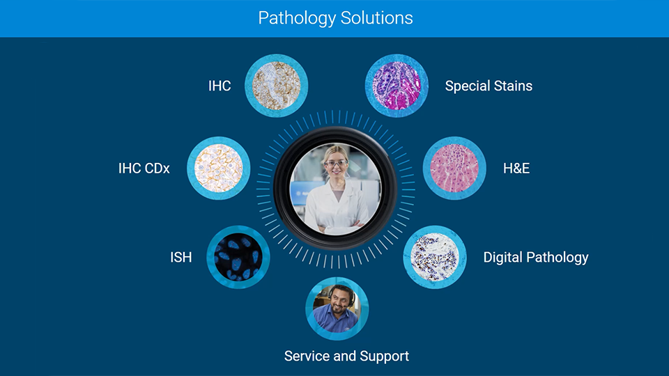 Pathology Solution infographic 