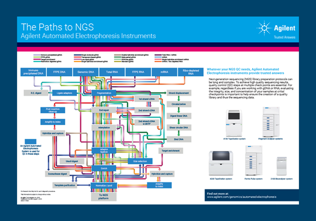 The Paths to NGS Poster