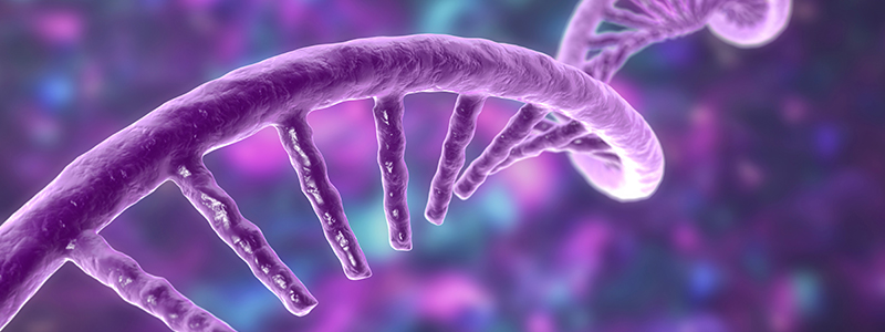 Oligonucleotide Therapeutics | Agilent