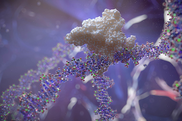 Cell interaction