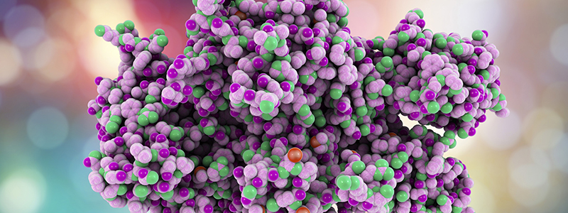 Protein Aggregation Analysis | Agilent
