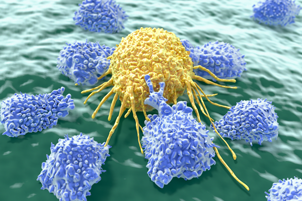 Immuno-Oncology Header Image